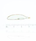 Carved Bone Feather