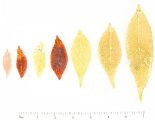 elm-all