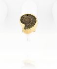 20100304-ring-005-top