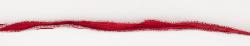 322 Tulip Red with Silver Edges