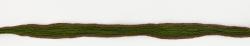 125 Olive Green with Brown Edges