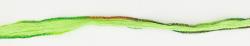 129 Parrot Green with Multi-colored Edges
