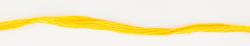 136 Bright Yellow Daffodil