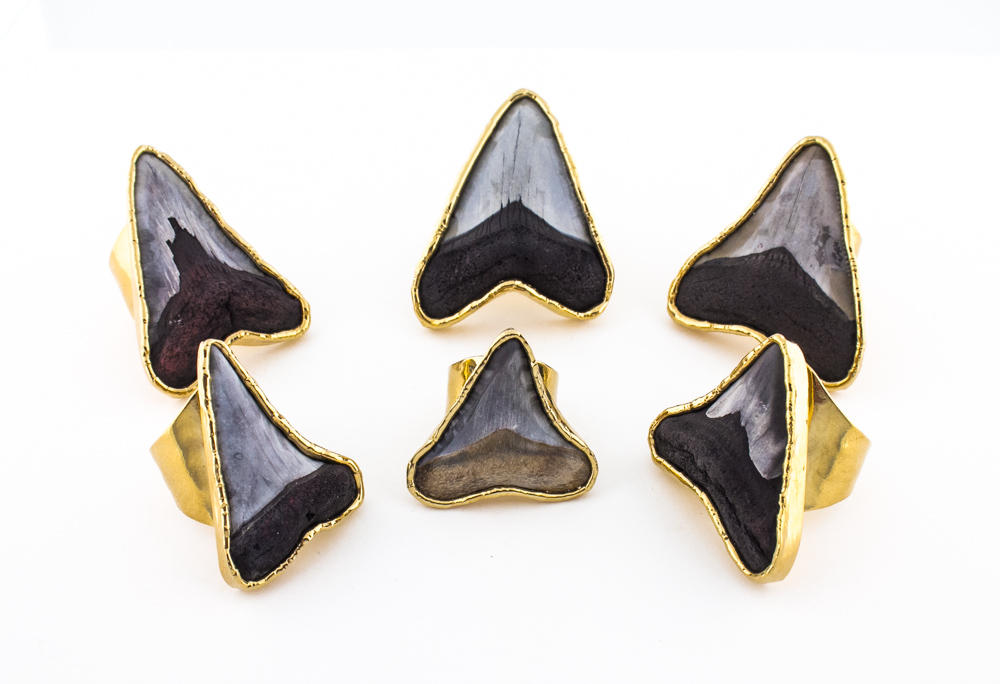 Shark Tooth Rings