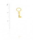 key-015